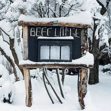 Park 5* Megève